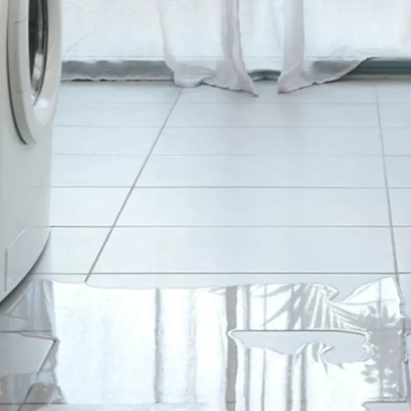 Appliance Leak Cleanup in Lincoln, AL