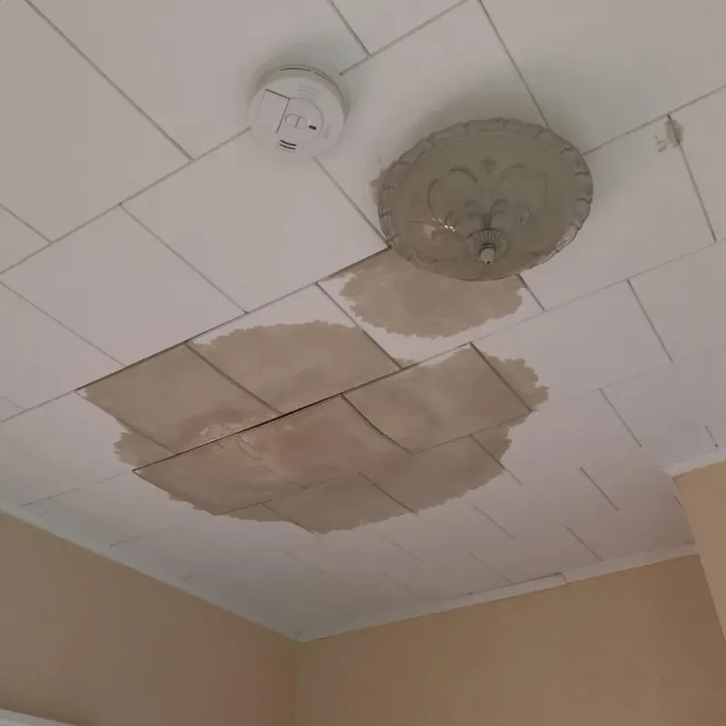 Ceiling Water Damage Repair in Lincoln, AL