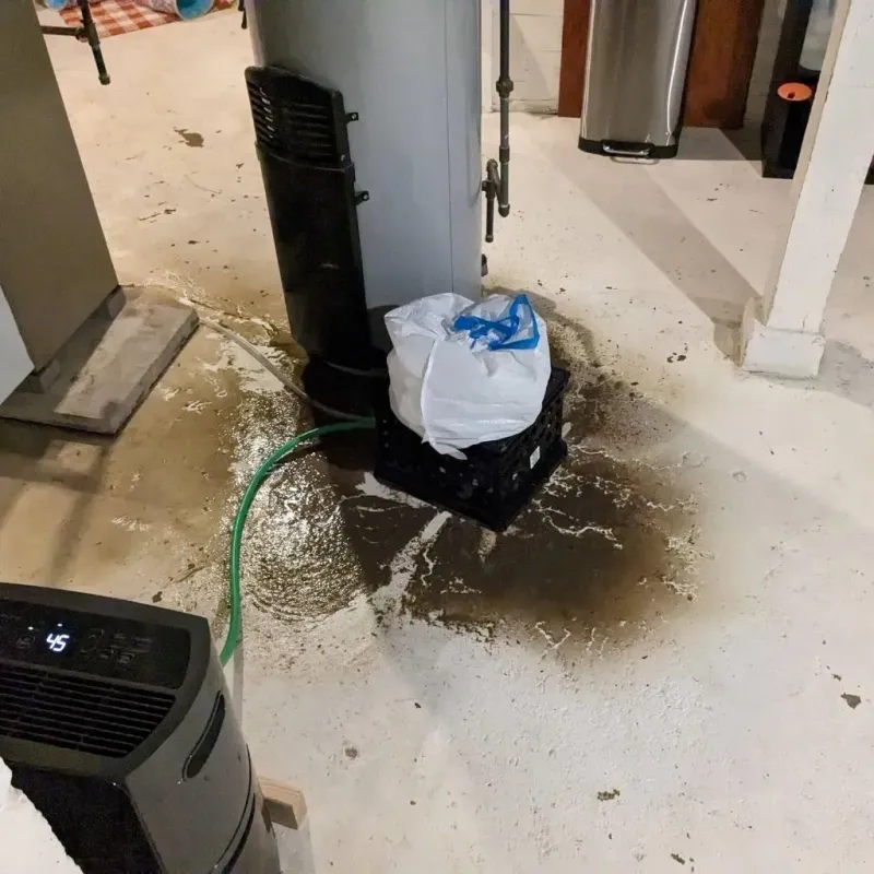 Sewage Backup Cleanup Service in Lincoln, AL